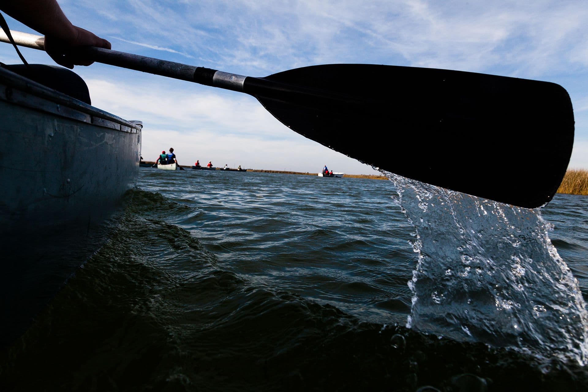 Members of the Chesapeake Bay Program Forestry Workgroup paddle through salt marsh in Smith Island, Md., on Oct. 28, 2014.